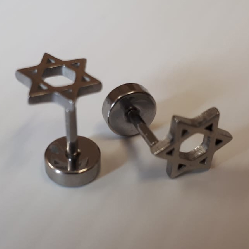 Silver Zionist Jewish Star of David stud earrings Dragonfly
