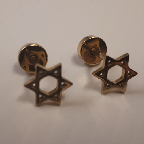 Gold Zionist Jewish Star of David stud earrings Dragonfly