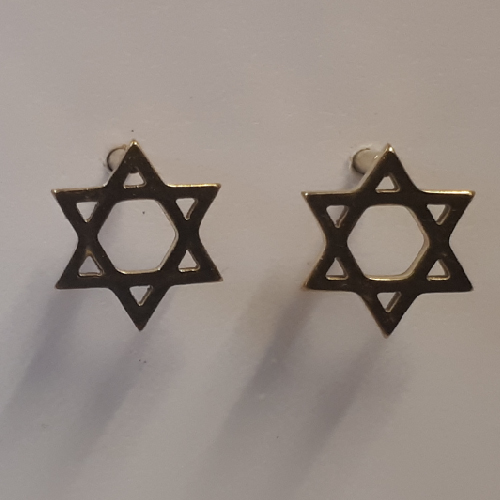 Gold Zionist Jewish Star of David stud earrings Dragonfly