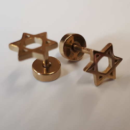 Gold Zionist Jewish Star of David stud earrings Dragonfly
