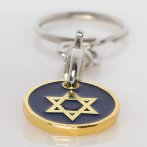 Zionist Jewish Star of David Supermarket Trolley Pound Coin Token