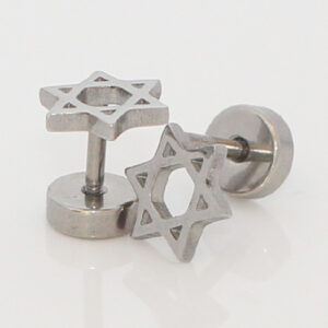 Silver Zionist Jewish Star of David stud earrings